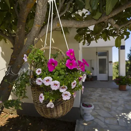 With A Parking Space Seget Vranjica, - 12612 Lejlighed Trogir